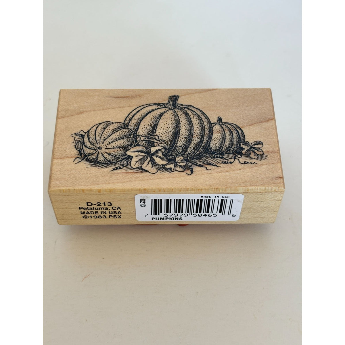PSX Rubber Stamp Fall Harvest Pumpkin Patch Thanksgiving Card Making Halloween Autumn Season