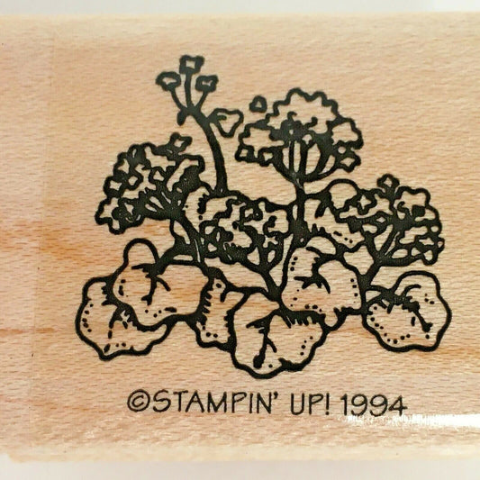 Stampin Up Rubber Stamp Geranium Plant Flowers Garden Outdoors Little by Little