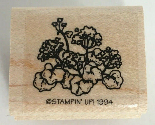 Stampin Up Rubber Stamp Geranium Plant Flowers Garden Outdoors Little by Little