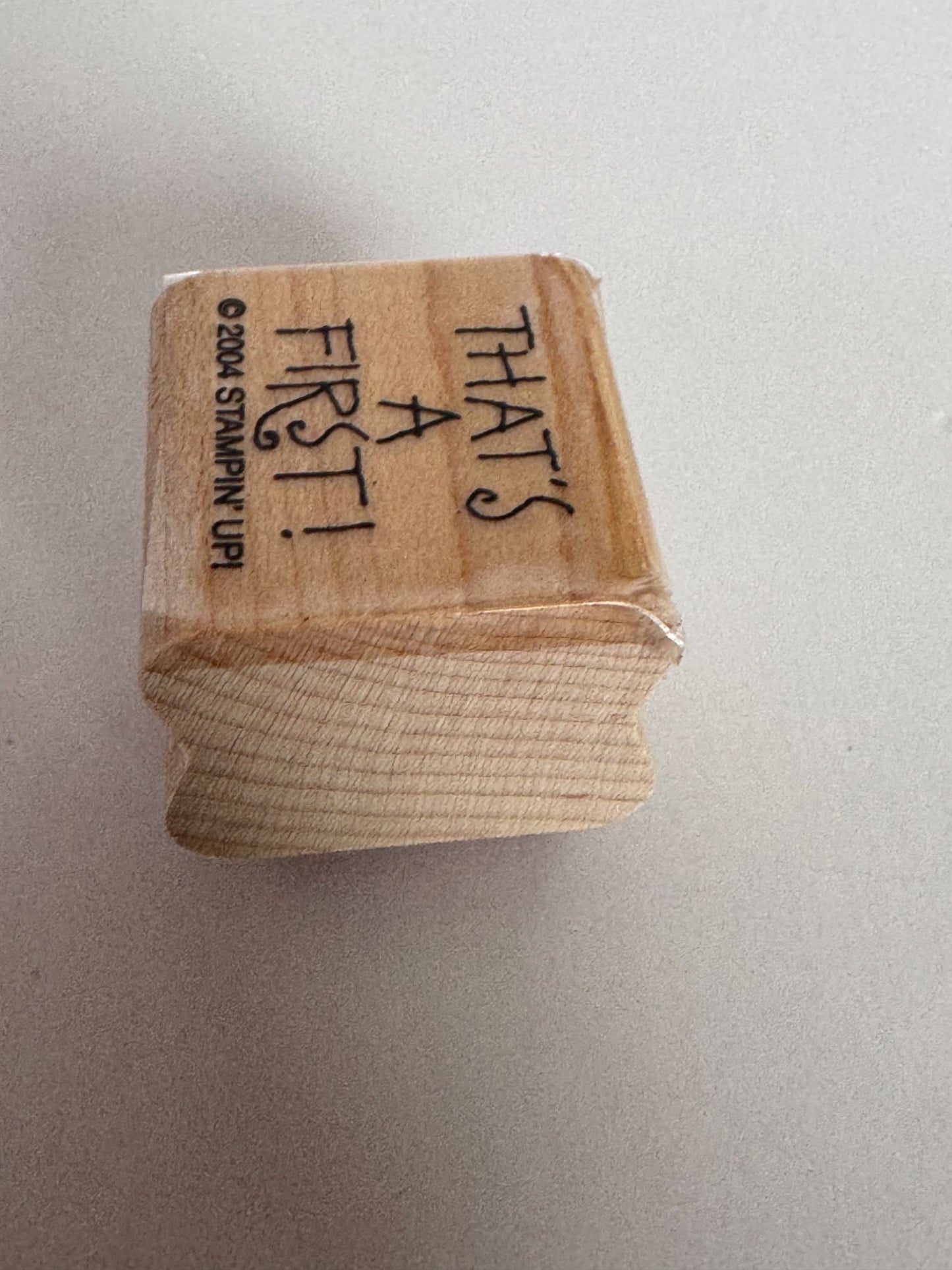 Stampin Up Rubber Stamps Thank You Card Making Words Speechless Funny Humor Art