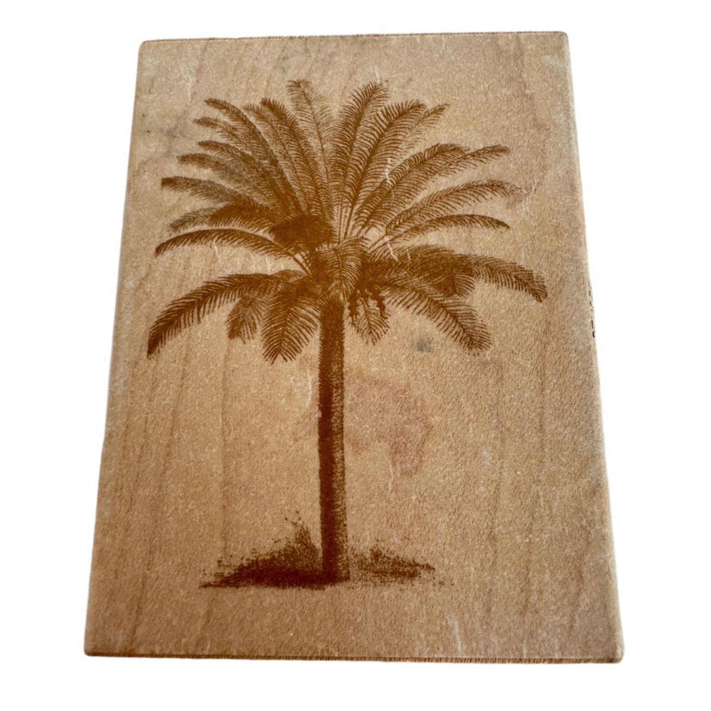 Anna Griffin Rubber Stamp Date Palm Tree Beach Vacation Relaxation Card Making