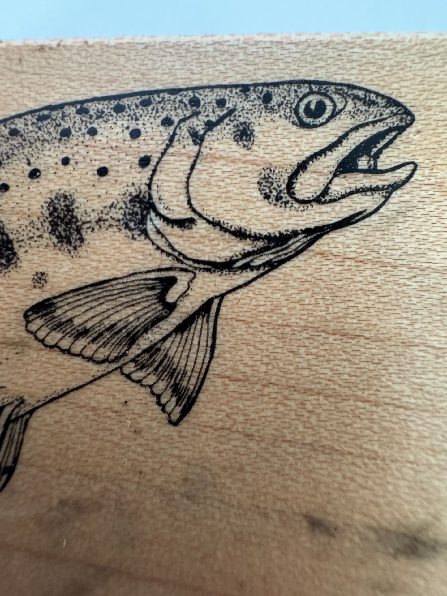 PSX Rubber Stamp Rainbow Trout Fish Outdoors Fishing Fathers Day Card Making