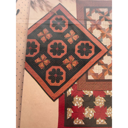 Pieceable Kingdom Applique Quilt Pattern Pinwheel Puzzles Flower Susan Parr 9611