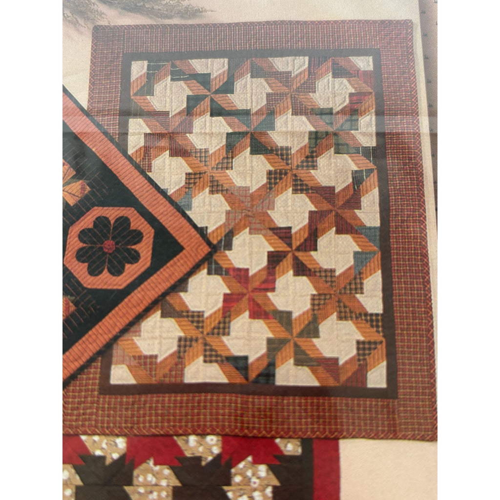 Pieceable Kingdom Applique Quilt Pattern Pinwheel Puzzles Flower Susan Parr 9611
