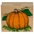 Hero Arts Rubber Stamp Big Pumpkin Fall Harvest Thanksgiving Autumn Card Making Wood Mounted