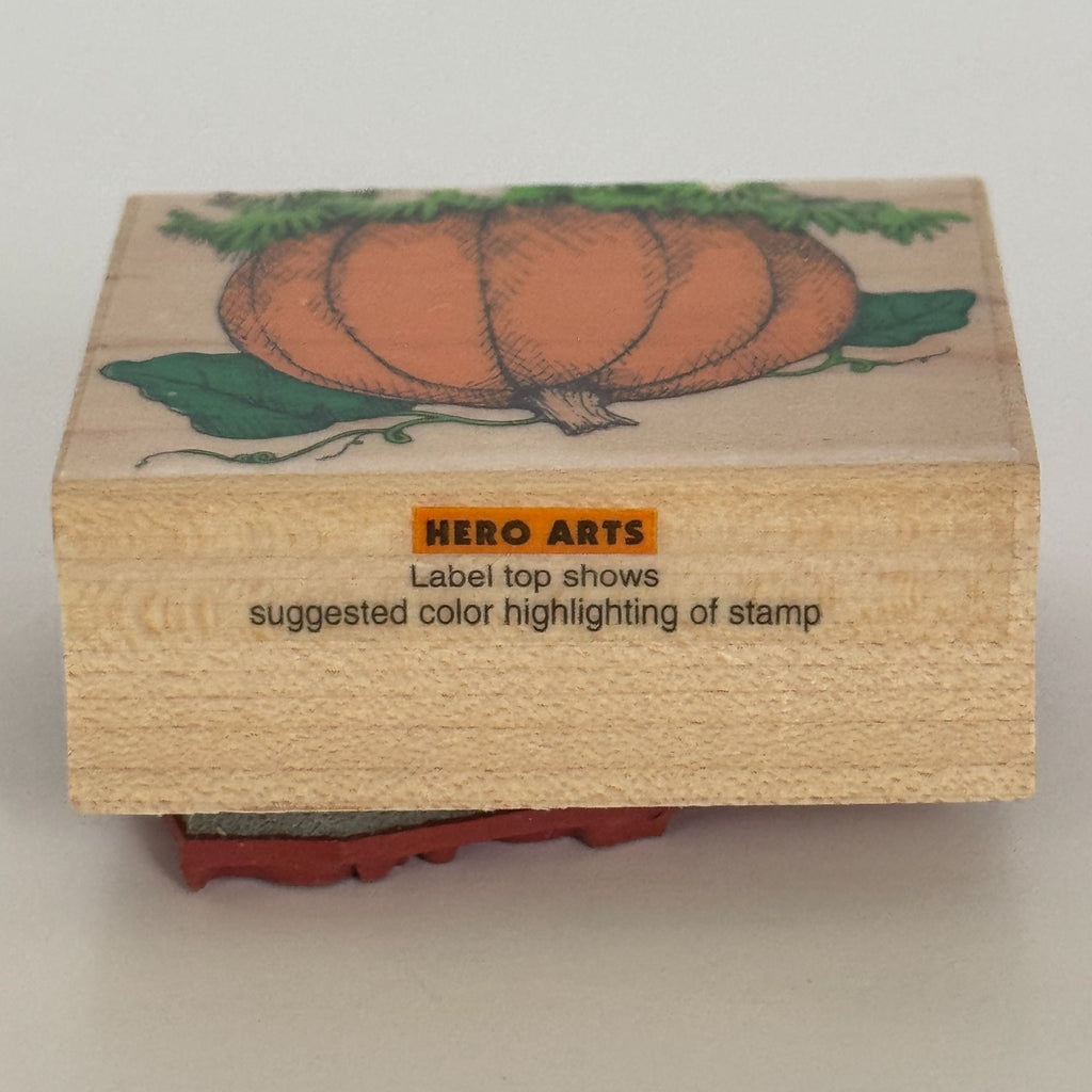 Hero Arts Rubber Stamp Big Pumpkin Fall Harvest Thanksgiving Autumn Card Making Wood Mounted