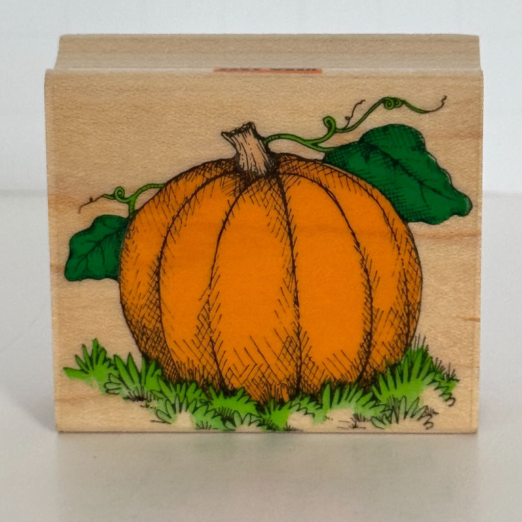 Hero Arts Rubber Stamp Big Pumpkin Fall Harvest Thanksgiving Autumn Card Making Wood Mounted