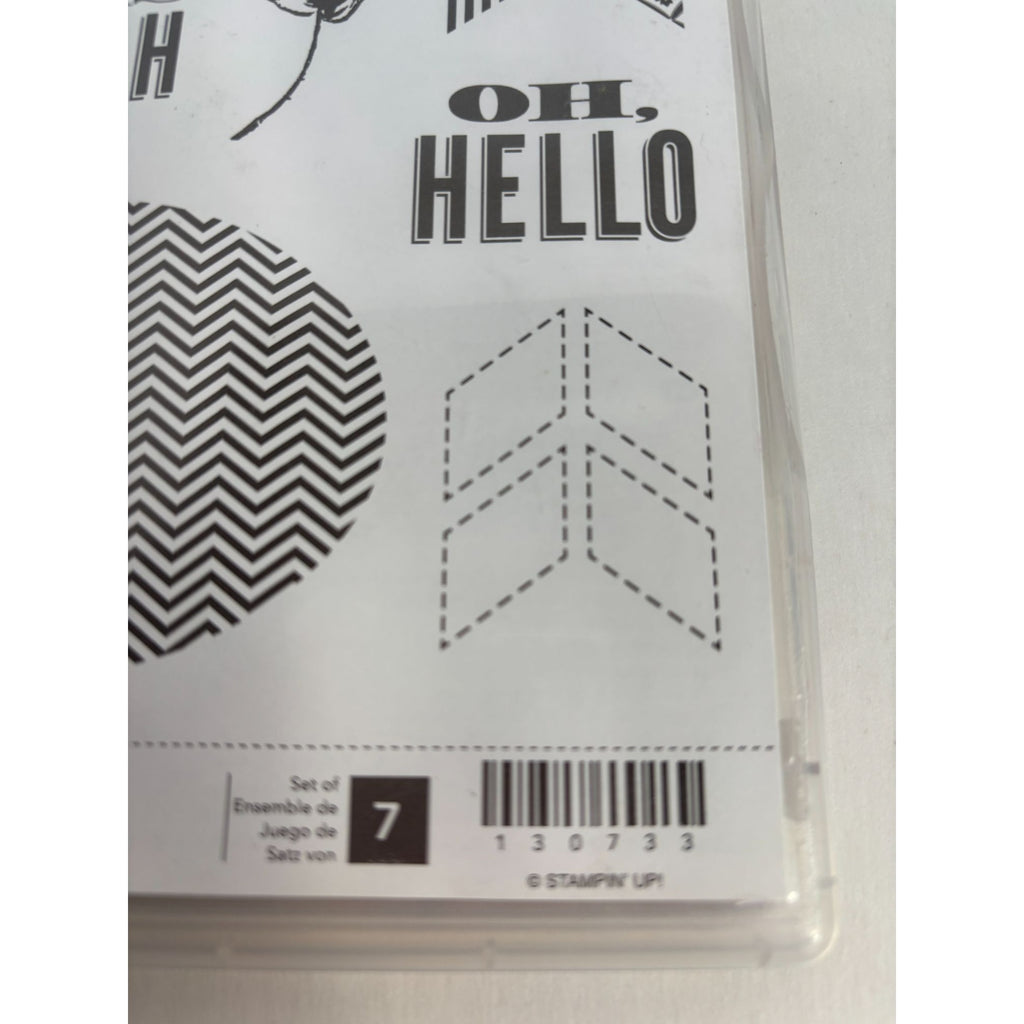 Stampin Up Clear Mount Rubber Stamp Set Oh Hello Chevon Oval Thanks So Much Word