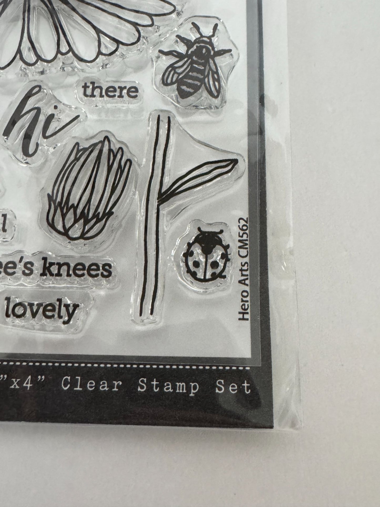 Hero Arts Clear Stamp Set Florals Daisy and Bugs Beautiful Bee Pun Best Buds 3x4