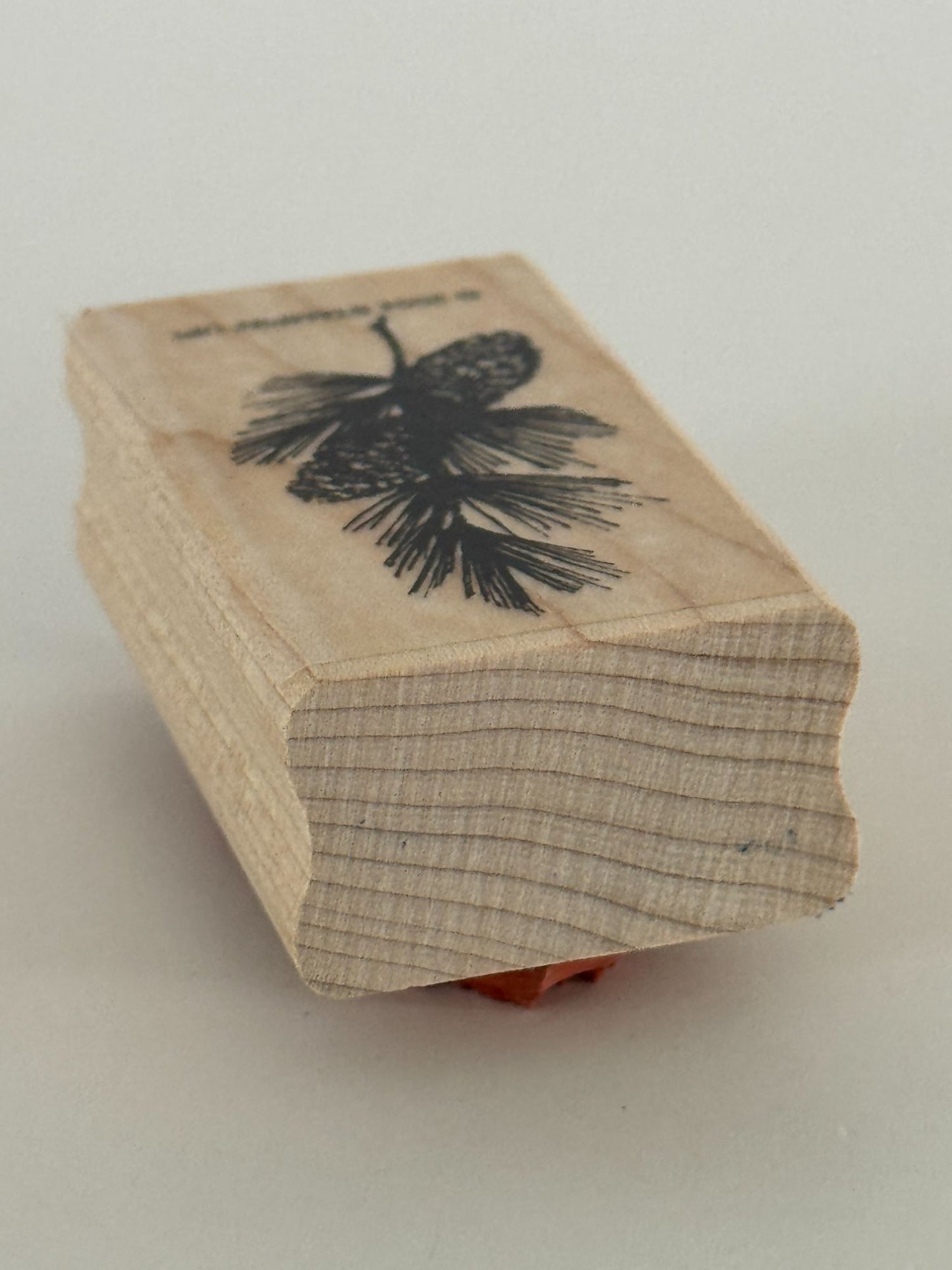 Stampin Up Rubber Stamp Pinecones Branch Christmas Card Making Nature Holidays