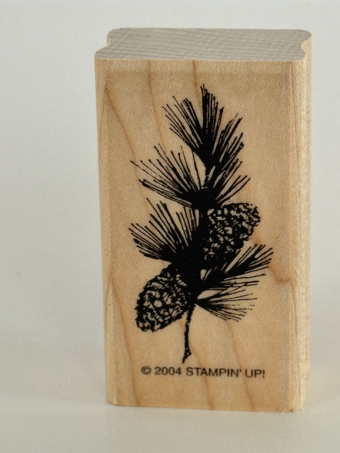 Stampin Up Rubber Stamp Pinecones Branch Christmas Card Making Nature Holidays