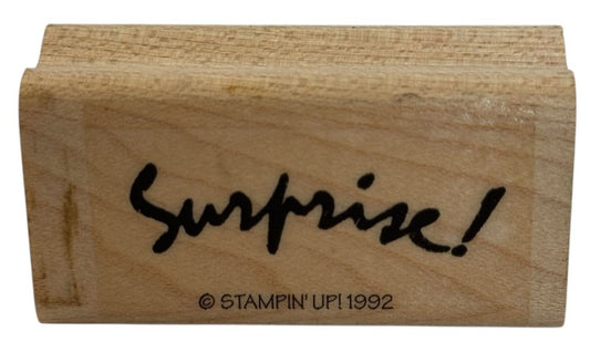 Stampin Up Rubber Stamp Surprise Party Invitation Card Making Word Sentiment