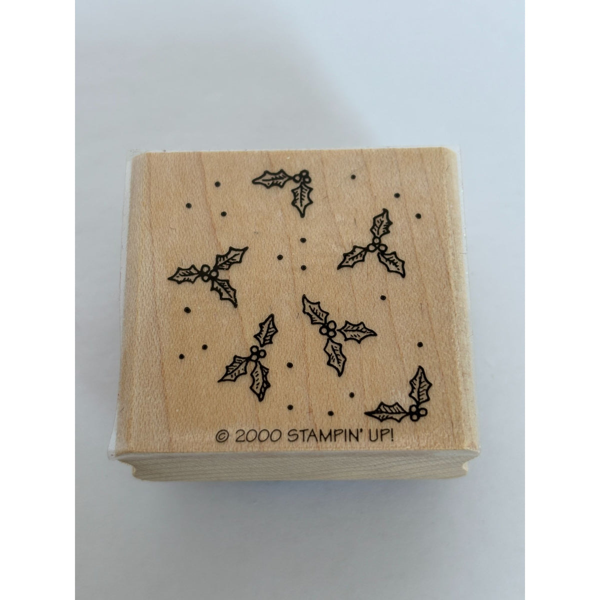 Stampin Up Rubber Stamp Christmas Holly Confetti Gift Tag Card Making Holidays