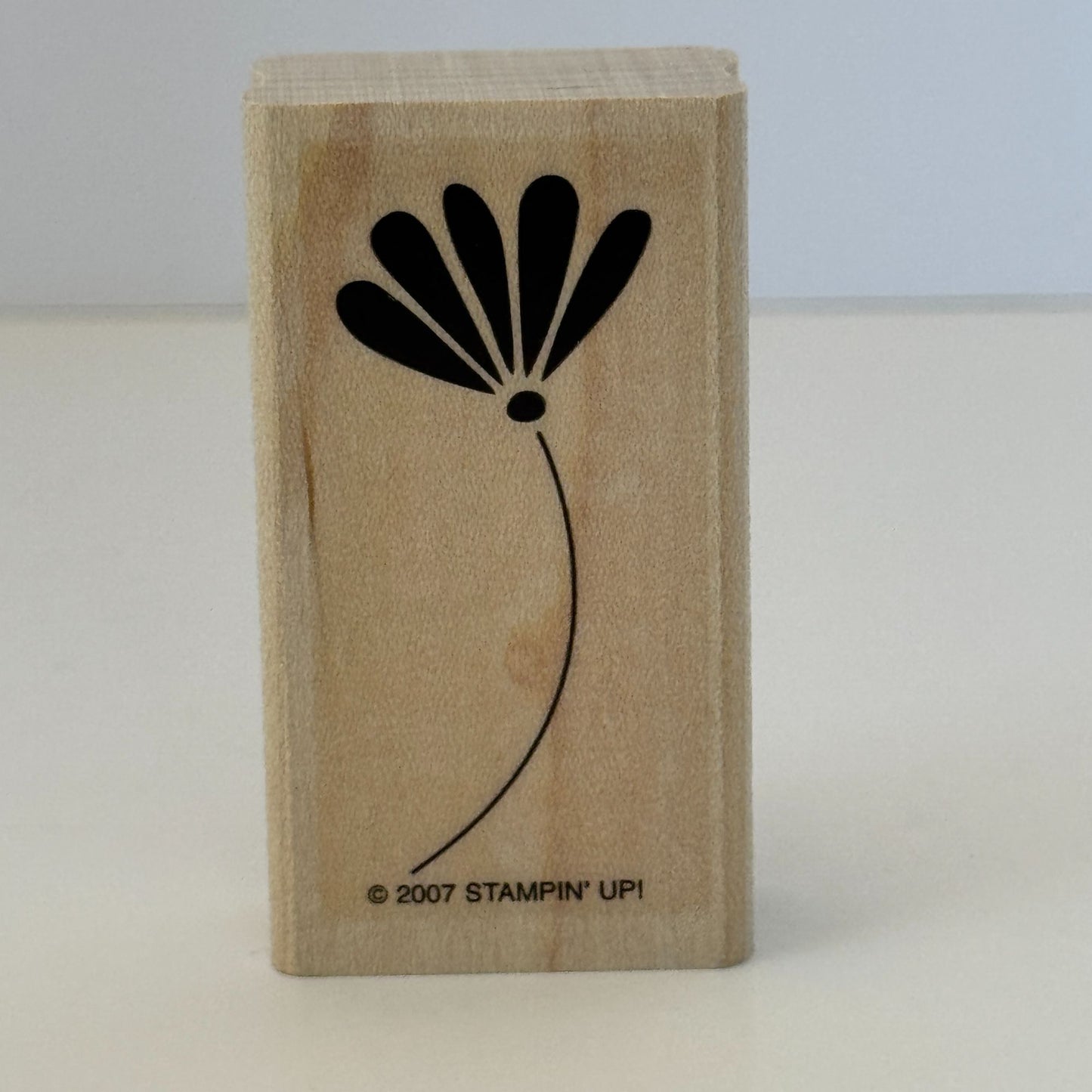 Stampin Up Wood Rubber Stamps Polka Dots and Paisley Find Joy Flowers Set of 6