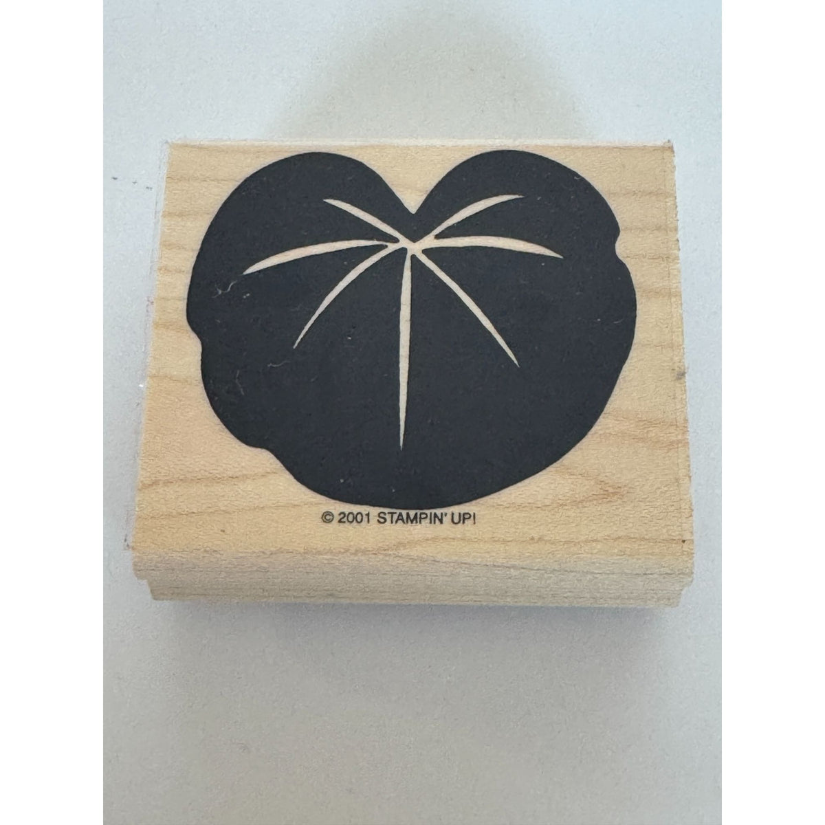 Stampin Up Rubber Stamp Lily Pad Nature Outdoors Background Wood Mounted Craft