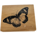 Anitas Rubber Stamp Butterfly Flying Spring Garden Nature Friendship Card Making