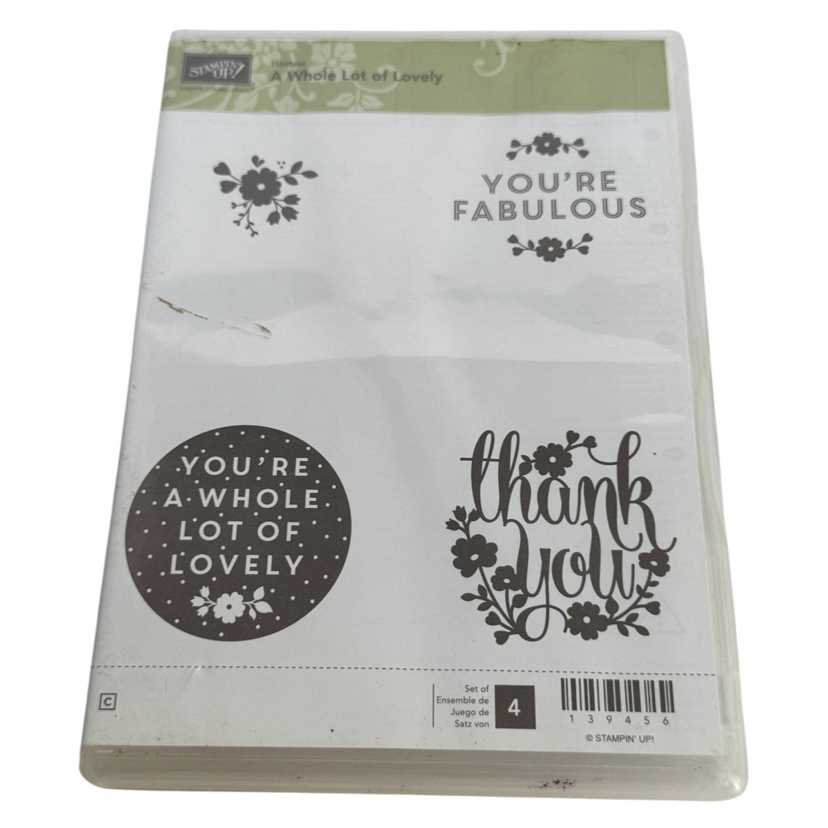 Stampin Up Clear Mount Rubber Stamp Set A Whole Lot of Lovely You are Fabulous