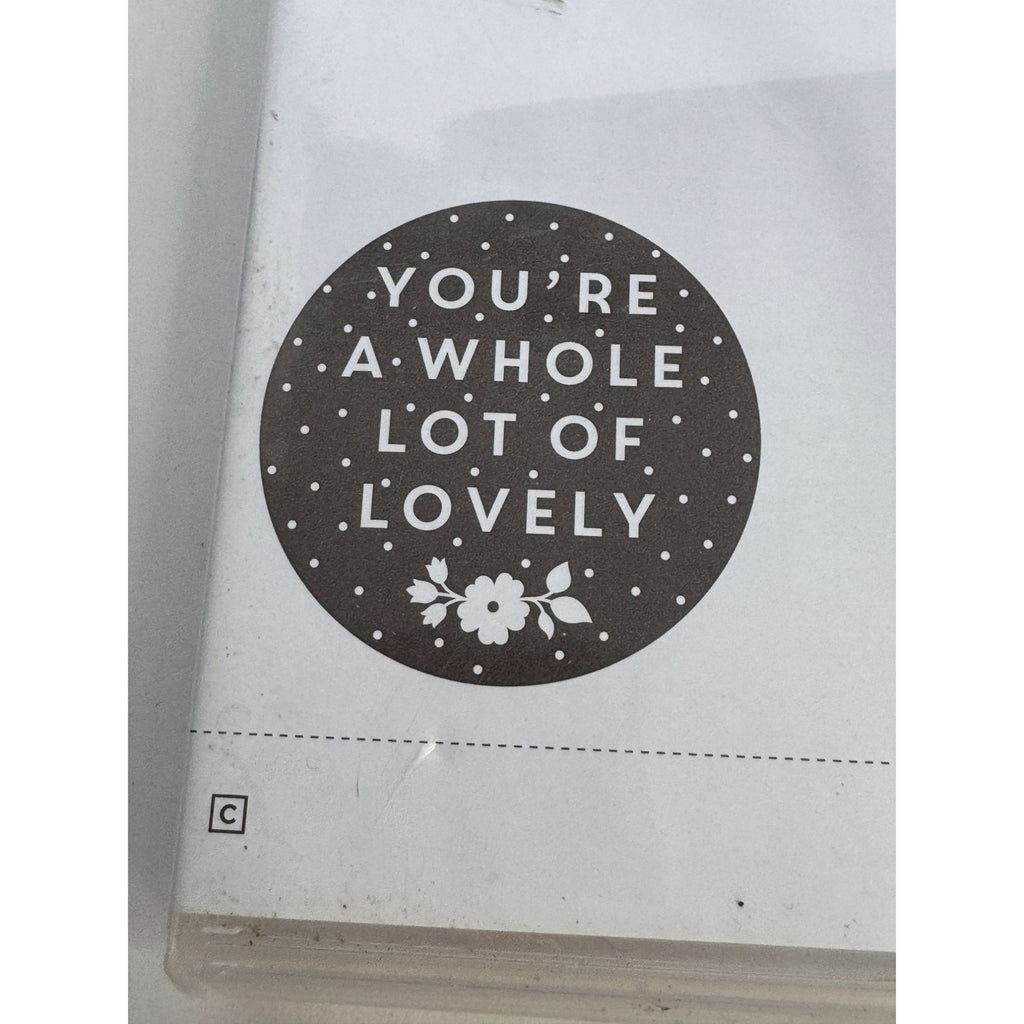 Stampin Up Clear Mount Rubber Stamp Set A Whole Lot of Lovely You are Fabulous