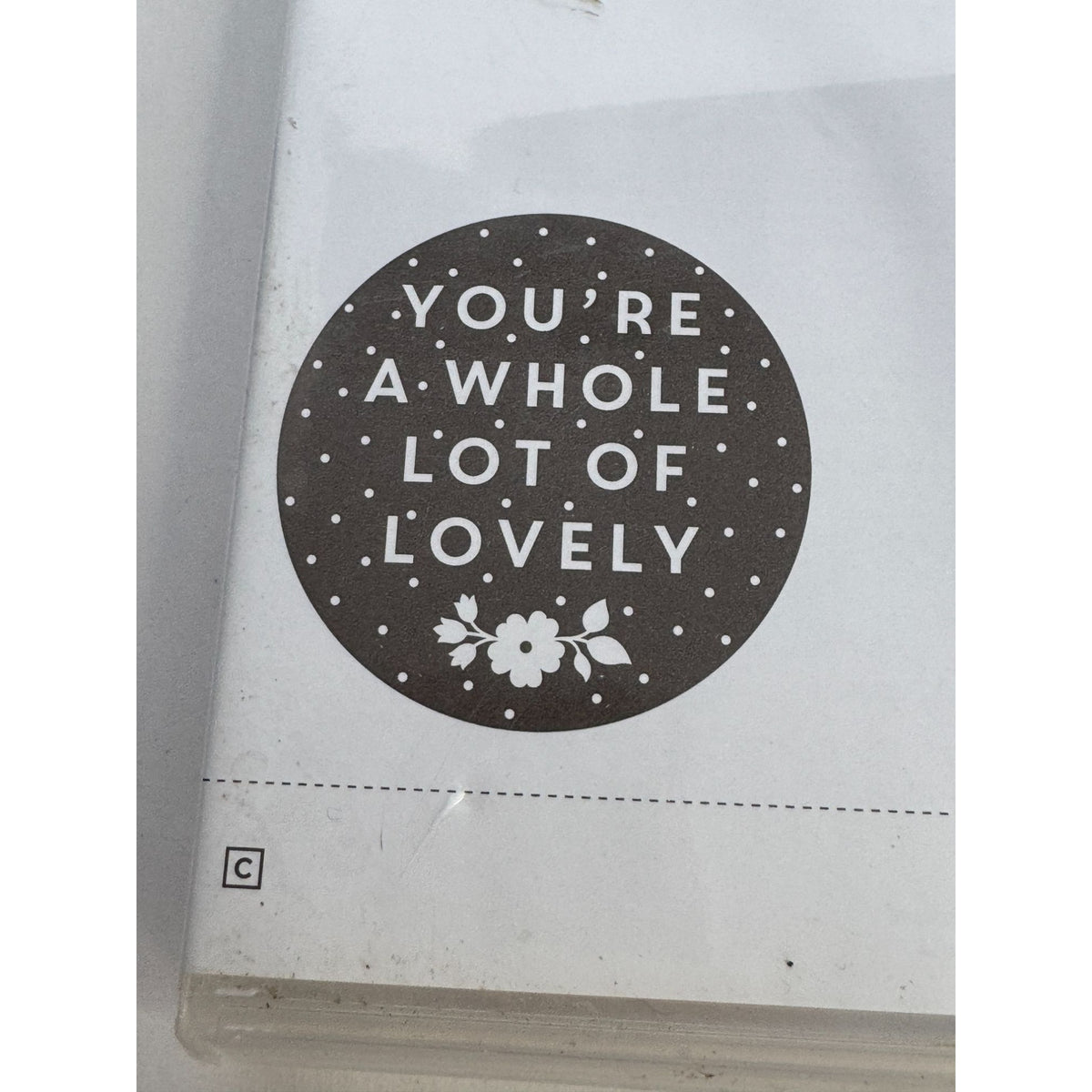 Stampin Up Clear Mount Rubber Stamp Set A Whole Lot of Lovely You are Fabulous