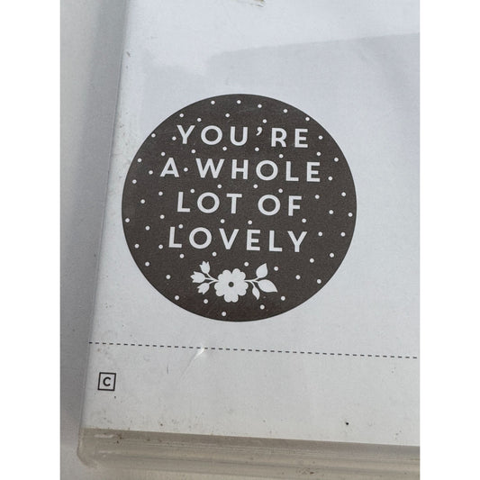 Stampin Up Clear Mount Rubber Stamp Set A Whole Lot of Lovely You are Fabulous