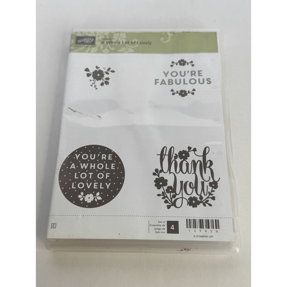 Stampin Up Clear Mount Rubber Stamp Set A Whole Lot of Lovely You are Fabulous