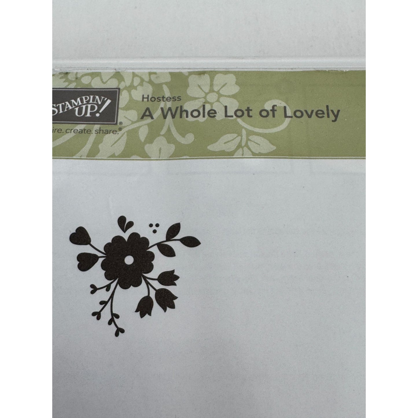Stampin Up Clear Mount Rubber Stamp Set A Whole Lot of Lovely You are Fabulous
