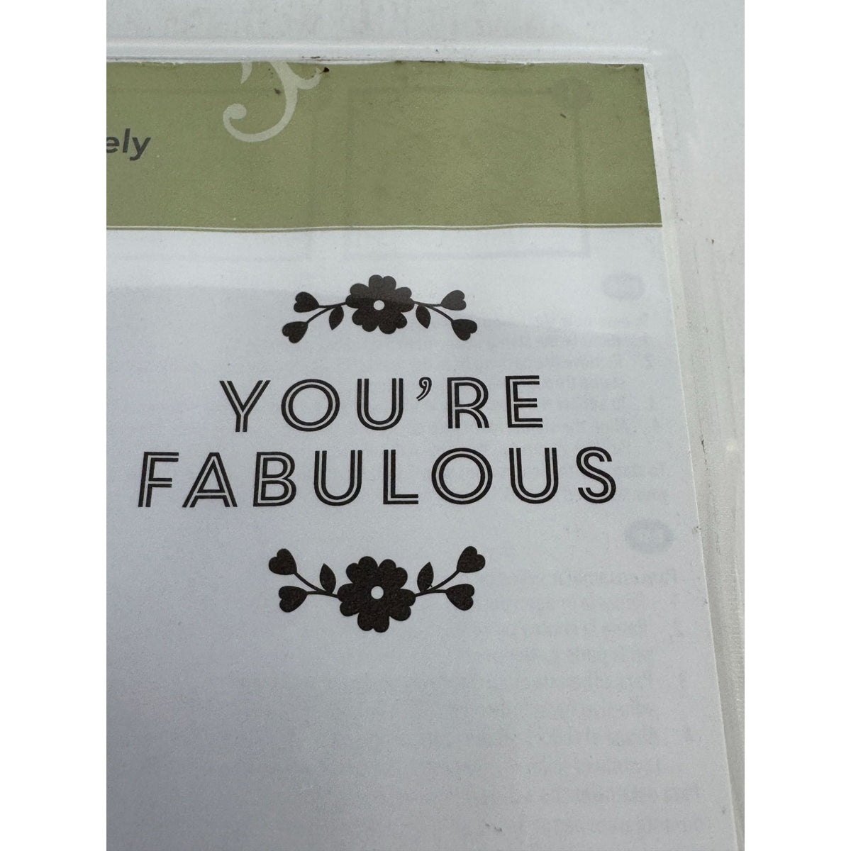 Stampin Up Clear Mount Rubber Stamp Set A Whole Lot of Lovely You are Fabulous