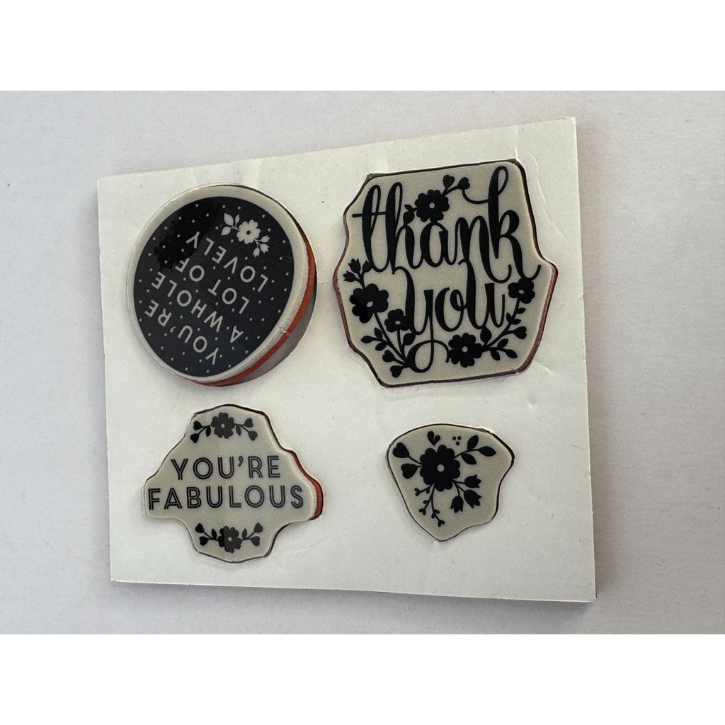 Stampin Up Clear Mount Rubber Stamp Set A Whole Lot of Lovely You are Fabulous