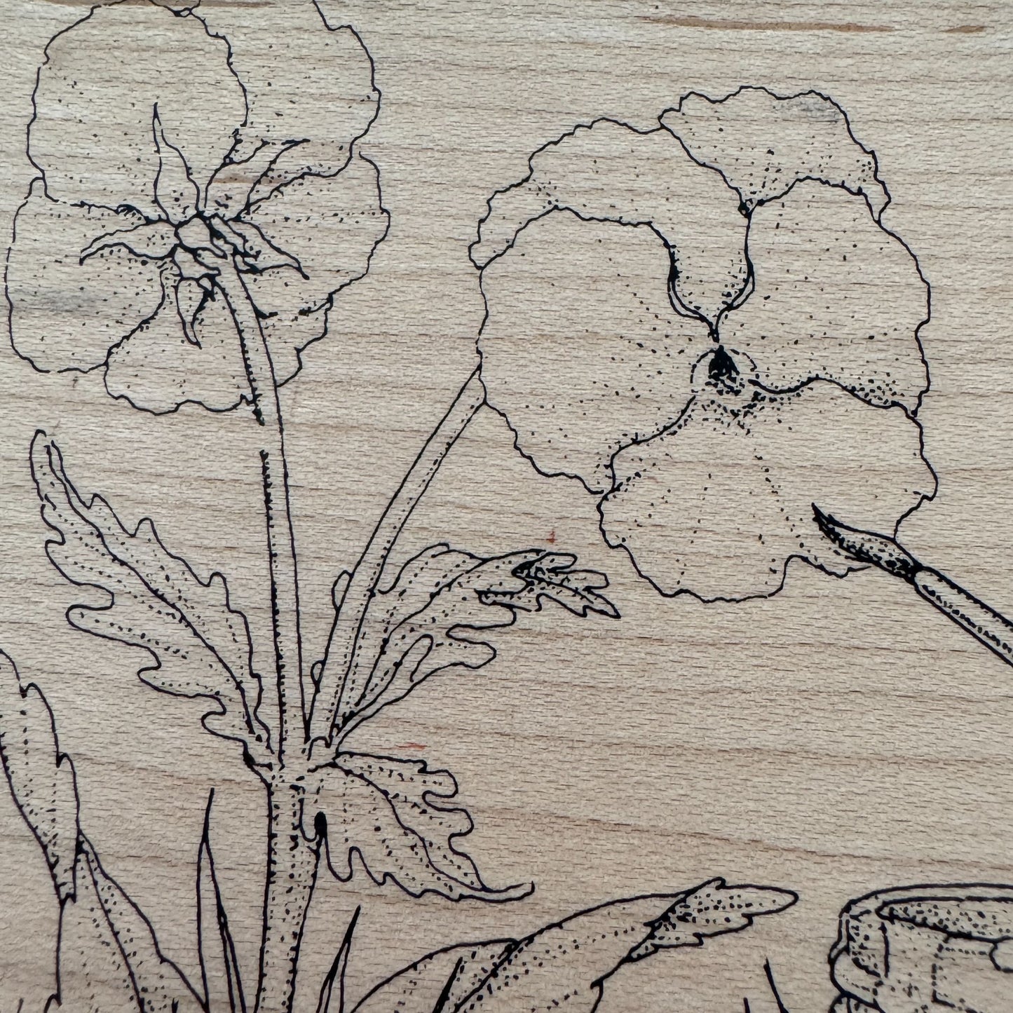 Stampa Rosa House Mouse Rubber Stamp Painting A Pansy Flower Friend Card Making