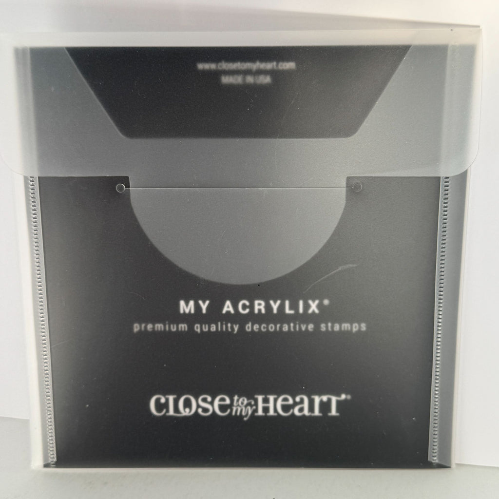 CTMH My Acrylix Acrylic Stamp Set Best Dad Ever Fathers Day Sentiment CC52123