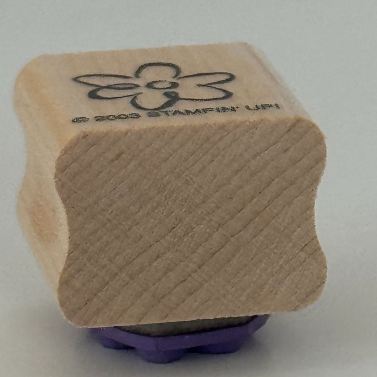 Stampin Up Rubber Stamp Flower Spring Nature Friendship Card Making Craft Friend