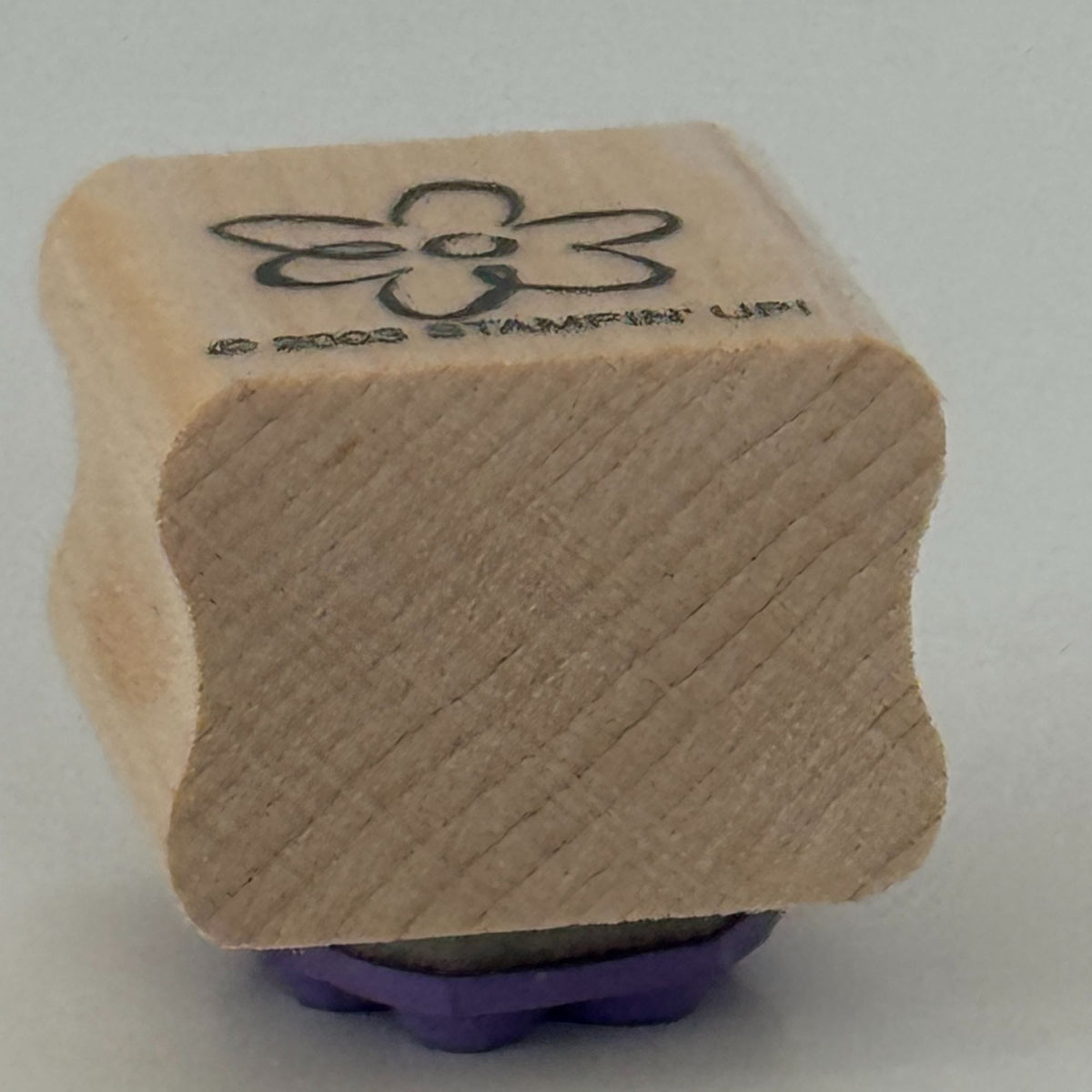 Stampin Up Rubber Stamp Flower Spring Nature Friendship Card Making Craft Friend