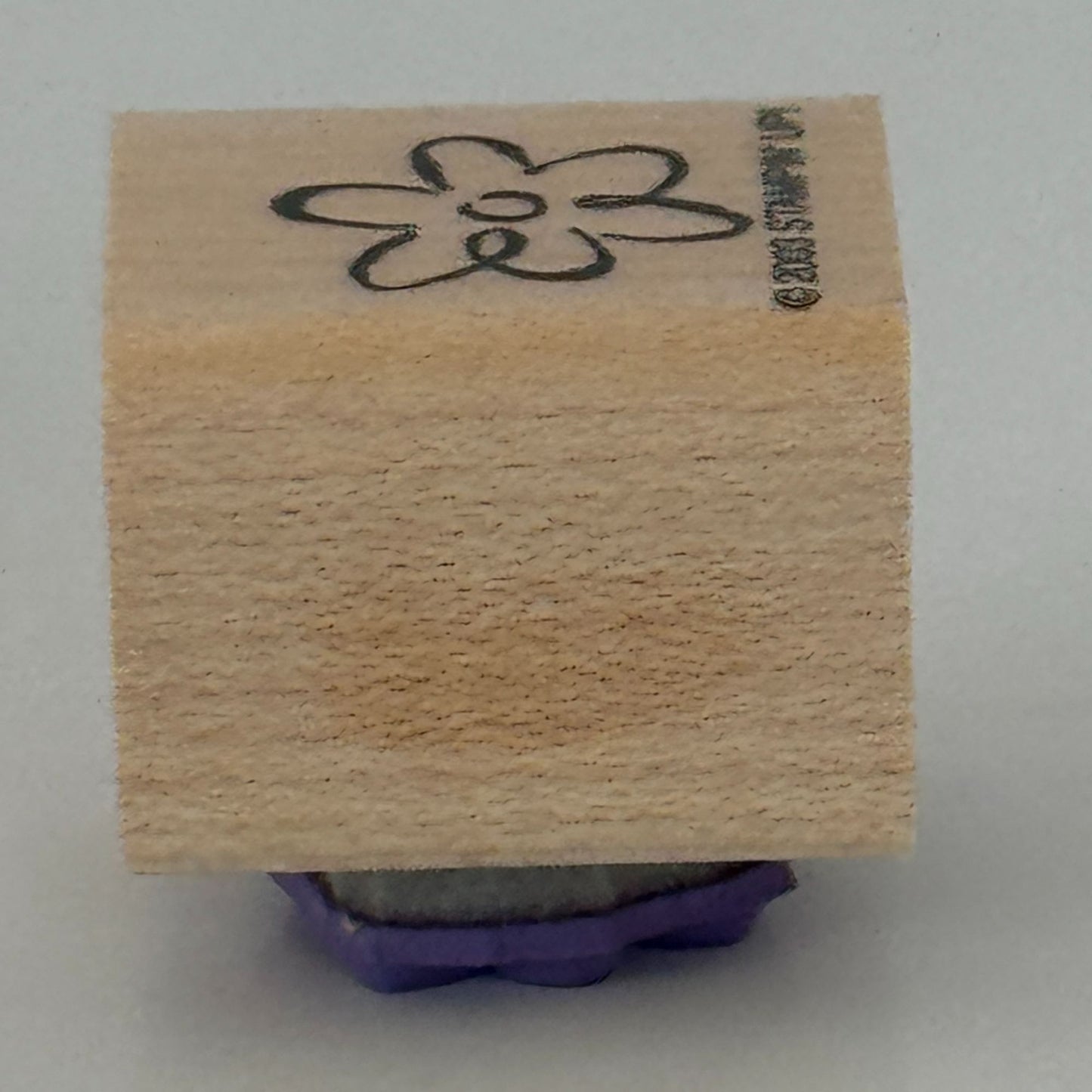 Stampin Up Rubber Stamp Flower Spring Nature Friendship Card Making Craft Friend