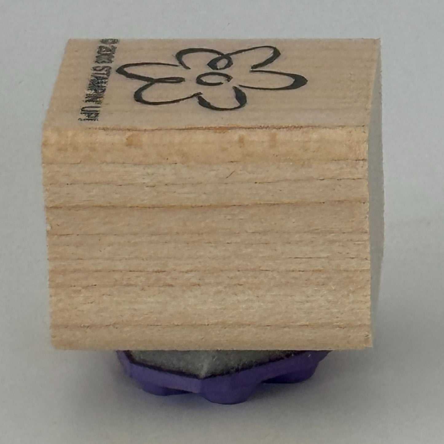 Stampin Up Rubber Stamp Flower Spring Nature Friendship Card Making Craft Friend