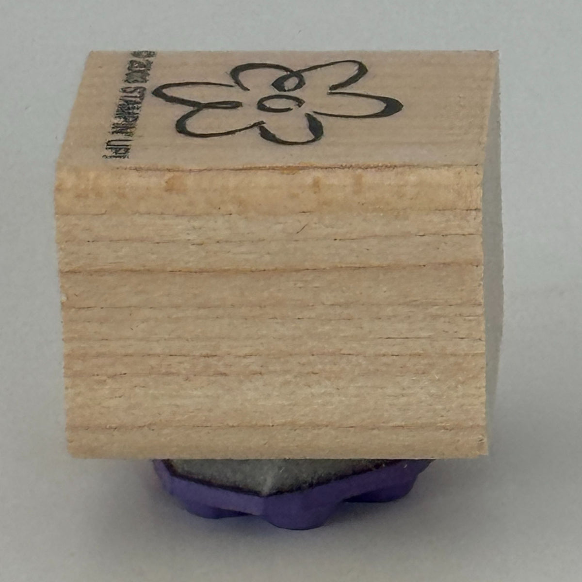 Stampin Up Rubber Stamp Flower Spring Nature Friendship Card Making Craft Friend