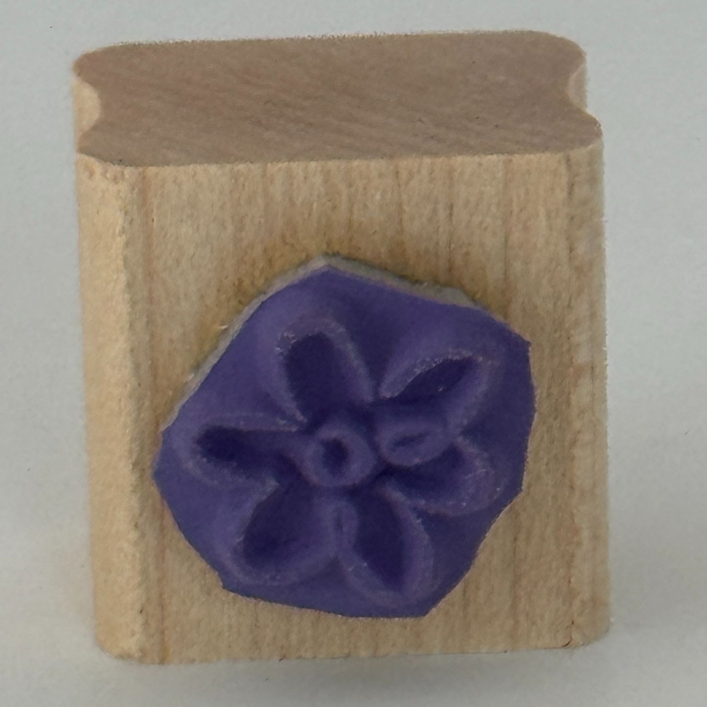 Stampin Up Rubber Stamp Flower Spring Nature Friendship Card Making Craft Friend
