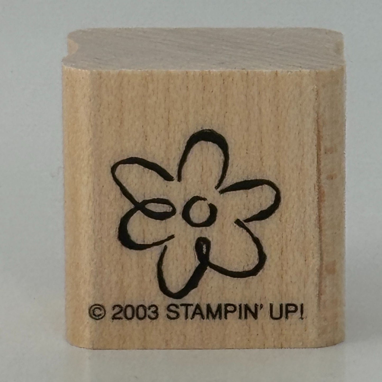 Stampin Up Rubber Stamp Flower Spring Nature Friendship Card Making Craft Friend
