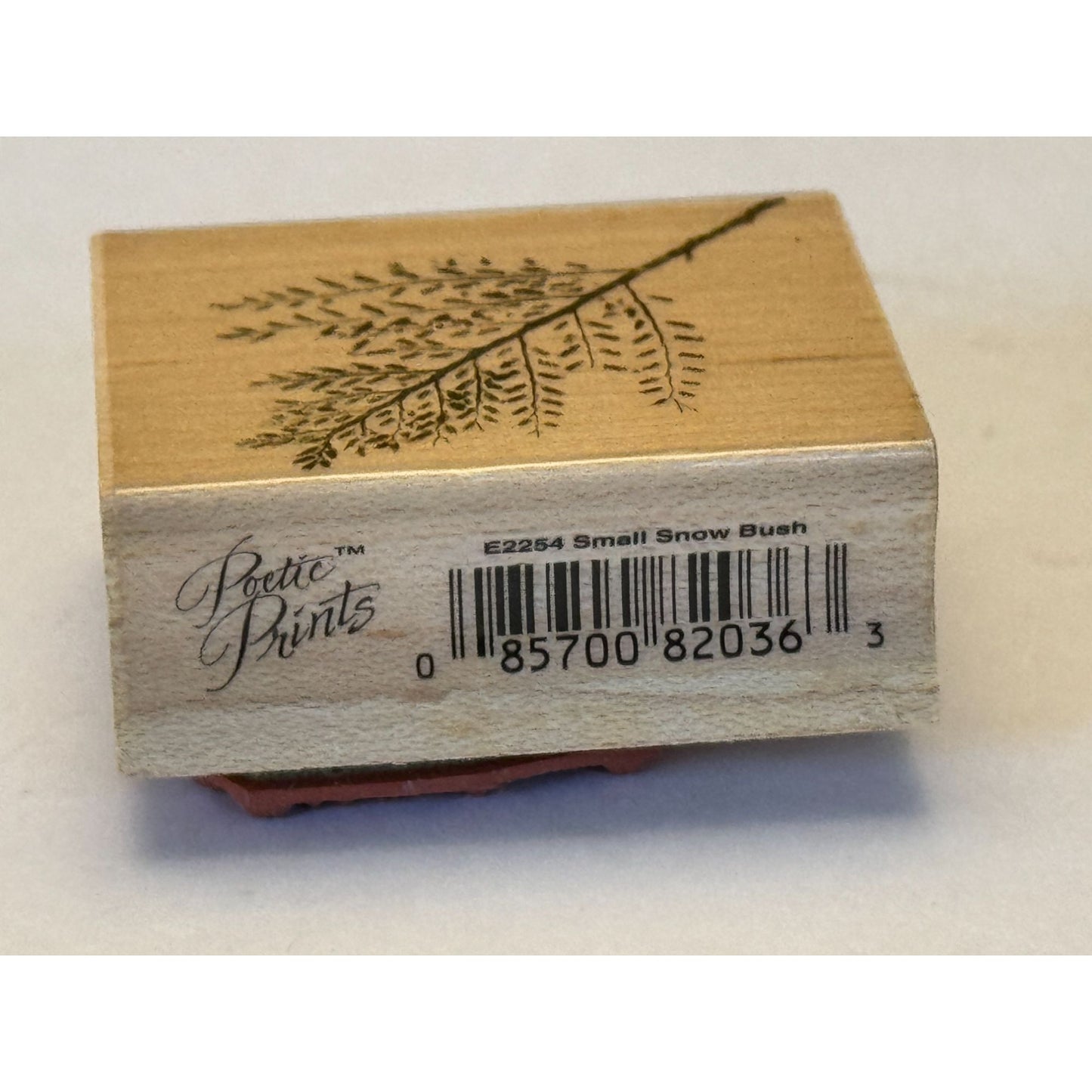 Hero Arts Rubber Stamp Small Snow Bush Fern Plant Nature Outdoors Poetic Prints