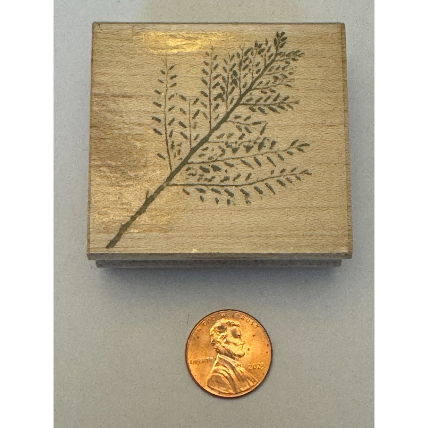 Hero Arts Rubber Stamp Small Snow Bush Fern Plant Nature Outdoors Poetic Prints