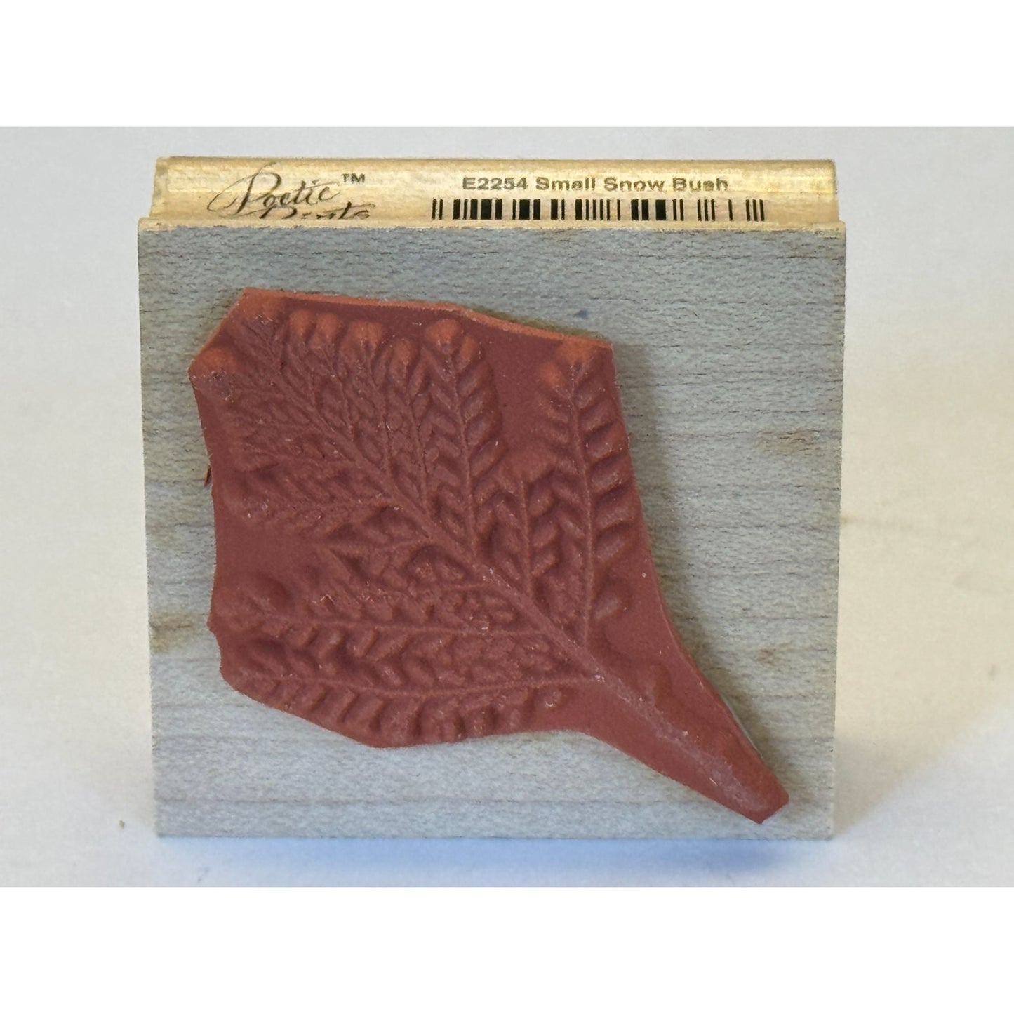 Hero Arts Rubber Stamp Small Snow Bush Fern Plant Nature Outdoors Poetic Prints