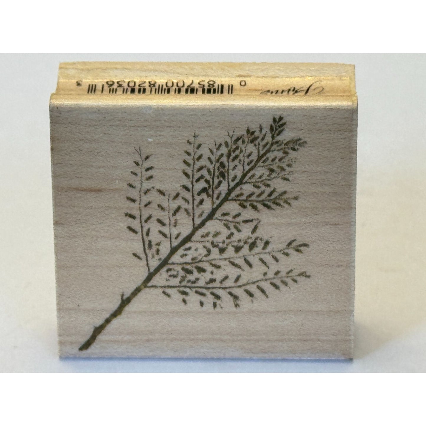 Hero Arts Rubber Stamp Small Snow Bush Fern Plant Nature Outdoors Poetic Prints