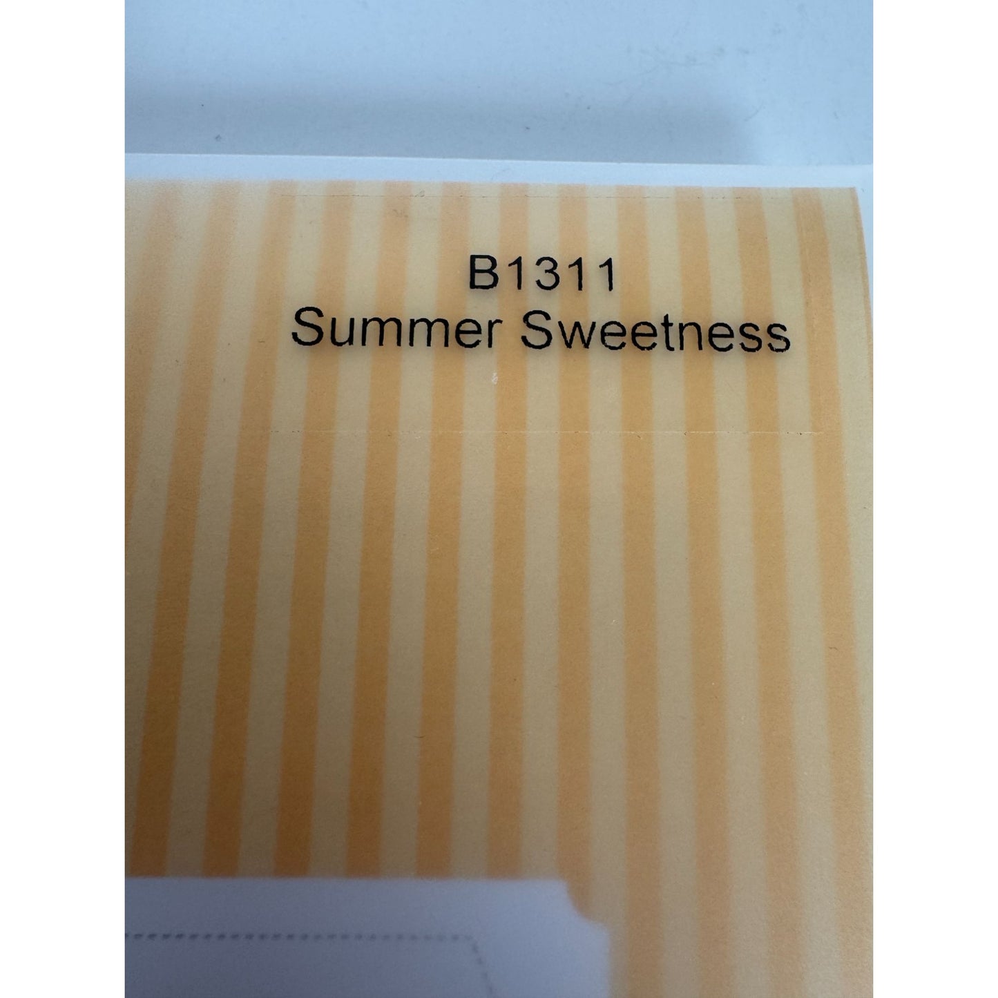 CTMH My Acrylix Acrylic Stamp Set Summer Sweetness Watermelon Picnic Fruit B1311