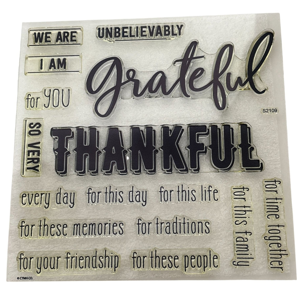 CTMH Acrylic Stamps Grateful for This Life Gratitude Journal Thanksgiving S2109