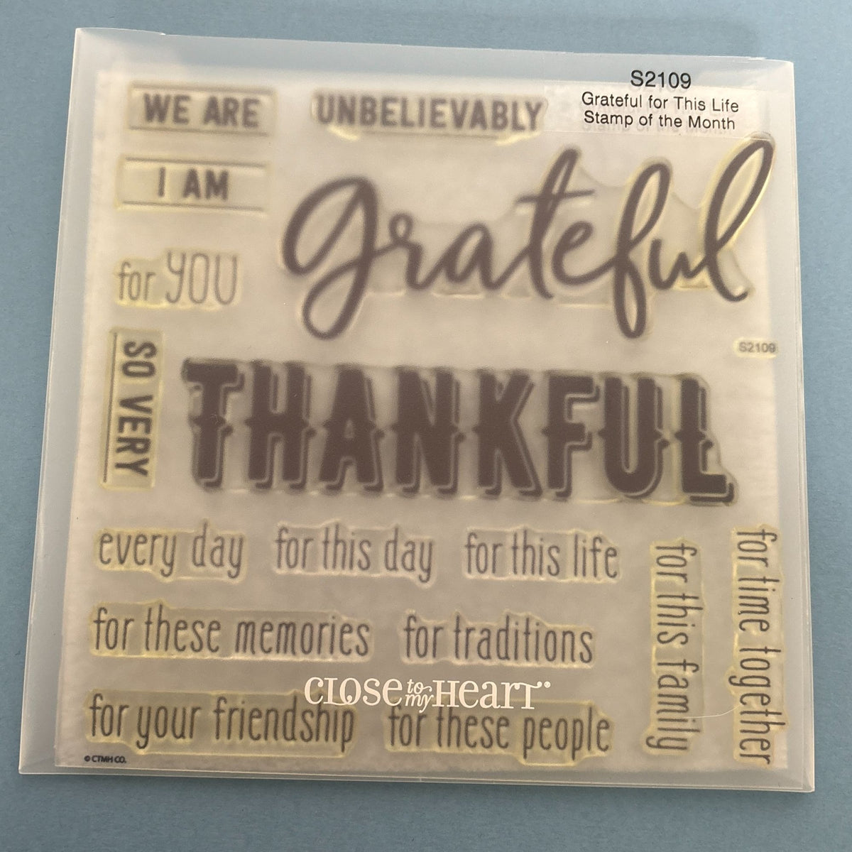 CTMH Acrylic Stamps Grateful for This Life Gratitude Journal Thanksgiving S2109