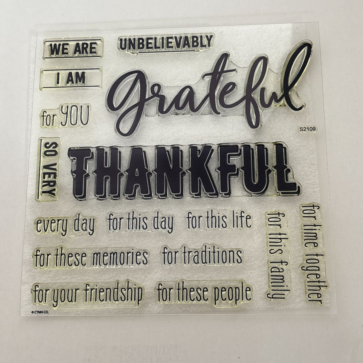 CTMH Acrylic Stamps Grateful for This Life Gratitude Journal Thanksgiving S2109