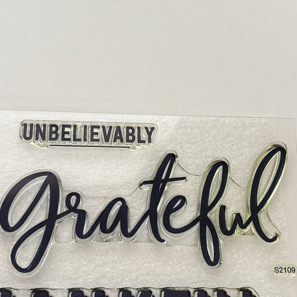 CTMH Acrylic Stamps Grateful for This Life Gratitude Journal Thanksgiving S2109