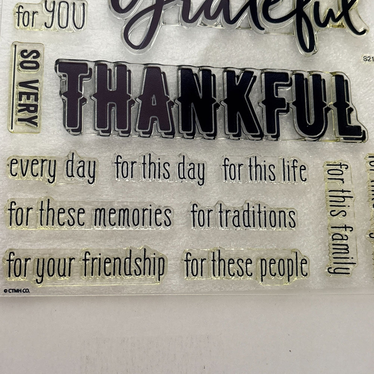 CTMH Acrylic Stamps Grateful for This Life Gratitude Journal Thanksgiving S2109