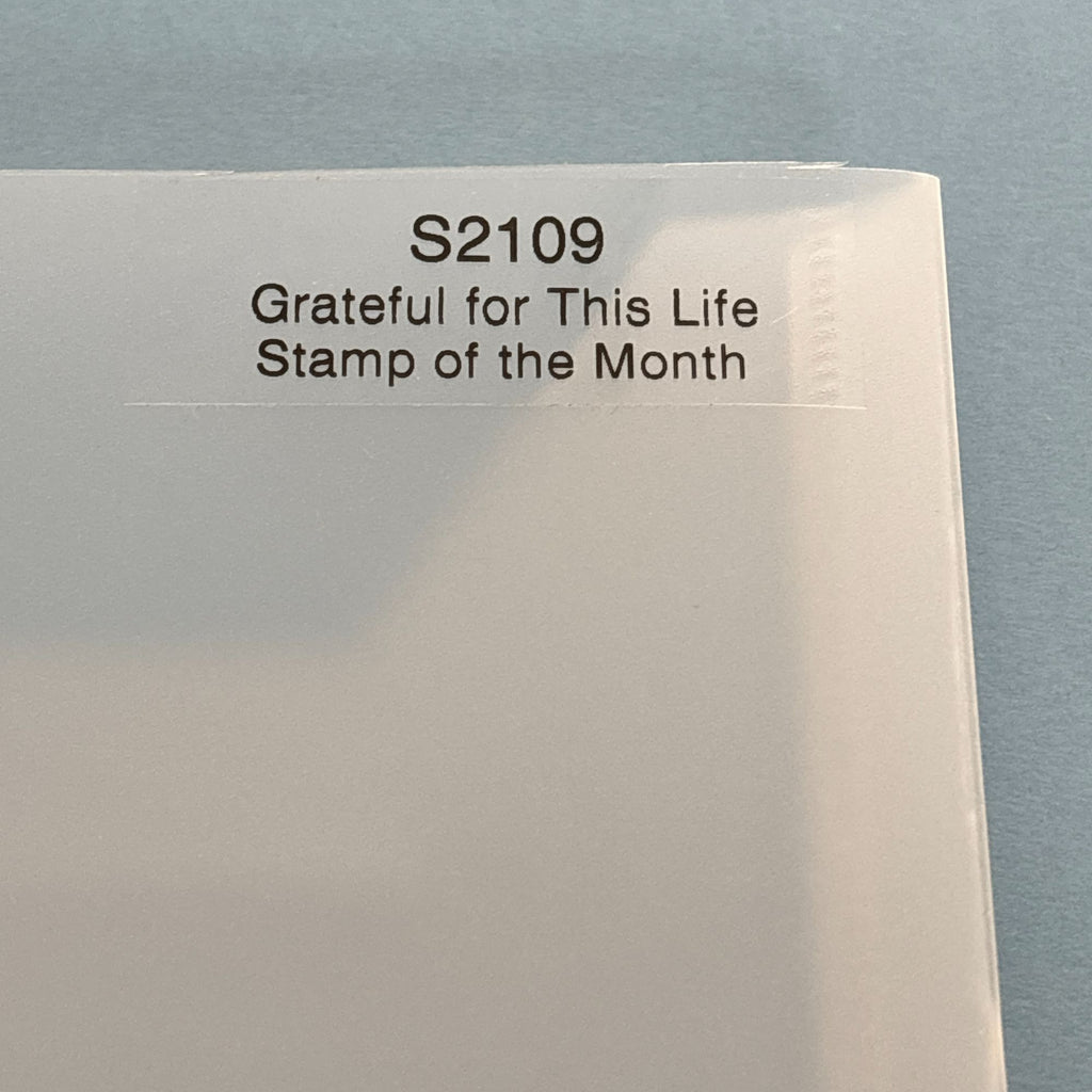 CTMH Acrylic Stamps Grateful for This Life Gratitude Journal Thanksgiving S2109